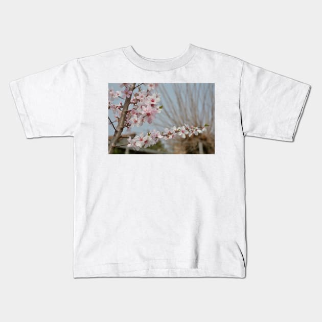 Almond Blossom Kids T-Shirt by jojobob